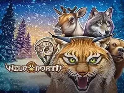 Wild North